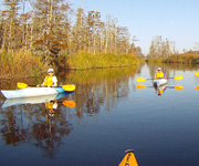Kayaking tours